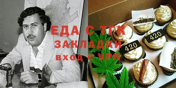 мдпв Рославль