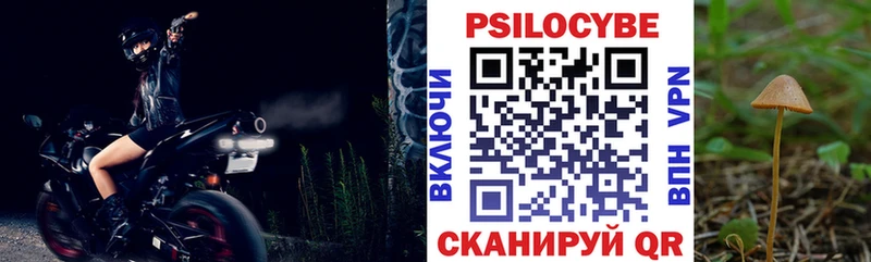 как найти закладки  Щигры  Галлюциногенные грибы прущие грибы 