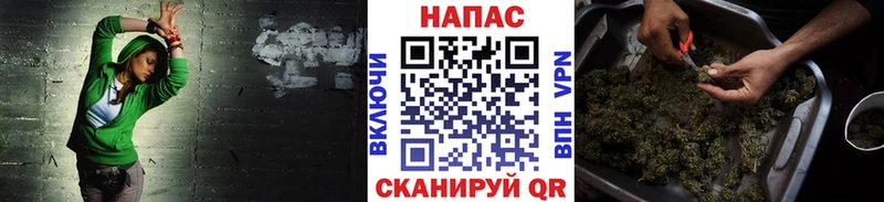 Марихуана MAZAR  блэк спрут маркетплейс  Щигры 
